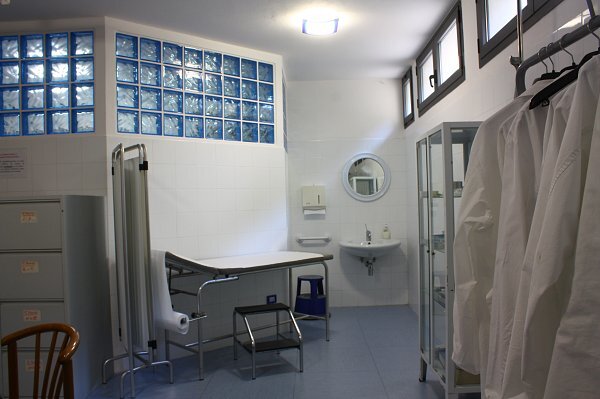 Assistenza sanitaria